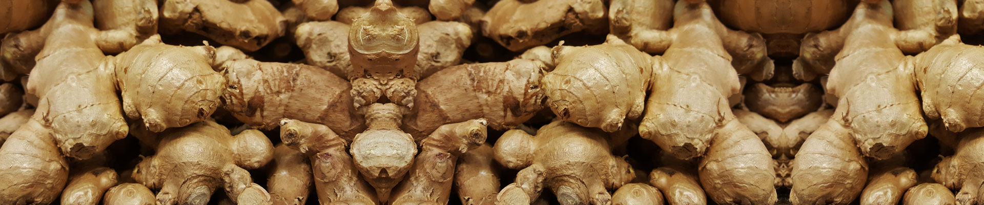 GINGER-THE GRAND SPICE