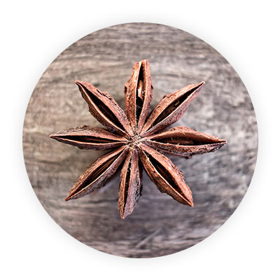 STAR ANISE-THE UNSUNG SPICE