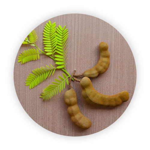TAMARIND-THE SPICE OF LIFE