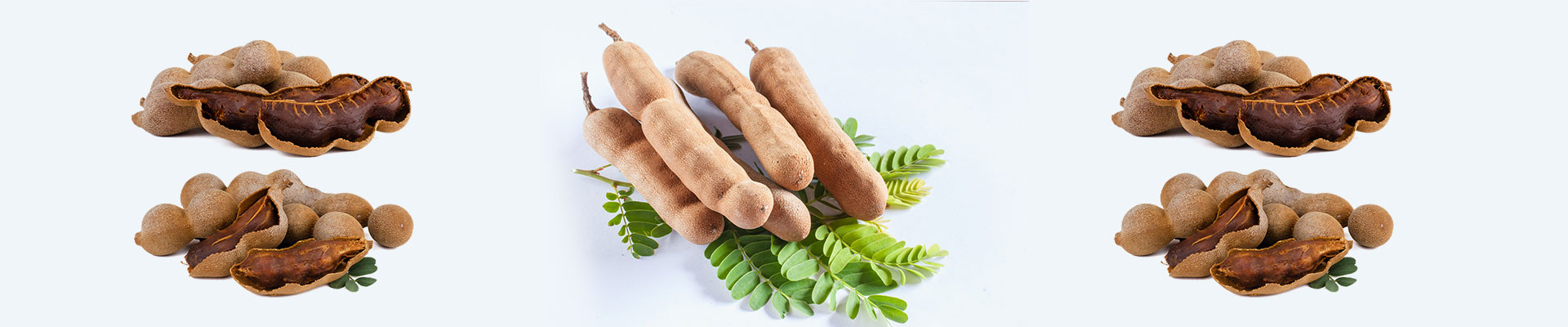 TAMARIND-THE SPICE OF LIFE