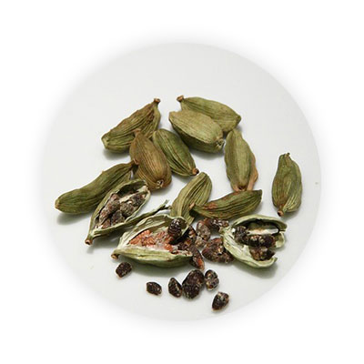 CARDAMOM-THE ANCIENT SPICE
