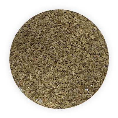 CAROM SEEDS-THE NUTRITIOUS SPICE
