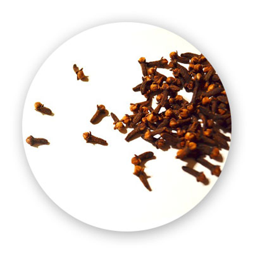 CLOVE-THE SPICE FOR SMILES